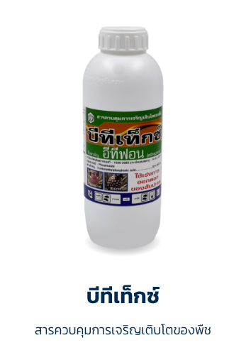 บีทีเท็กซ์