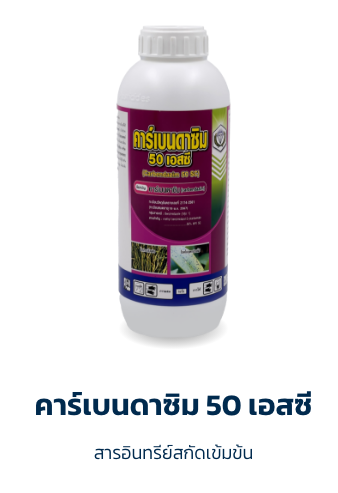คาร์เบนดาซิม 50 เอสซี