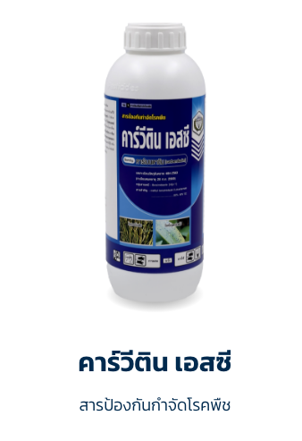 คาร์วีติน เอสซี