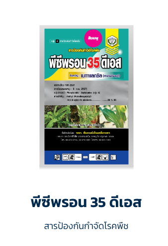 พีซีพรอน 35 ดีเอส (สีชมพู)