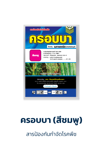 ครอบบา (สีชมพู)