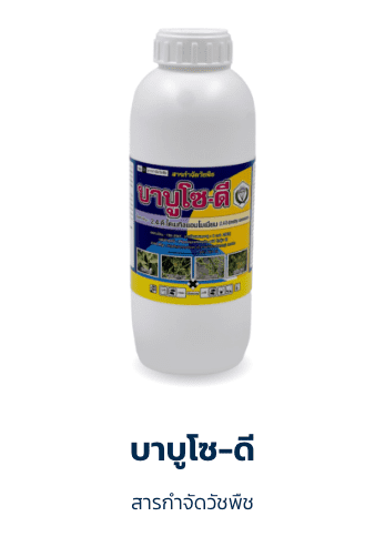 บาบูโซ-ดี