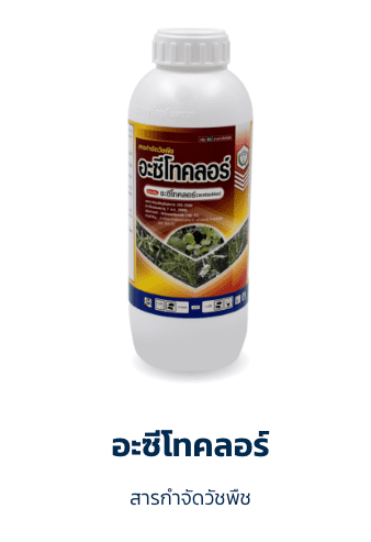 อะซีโทคลอร์
