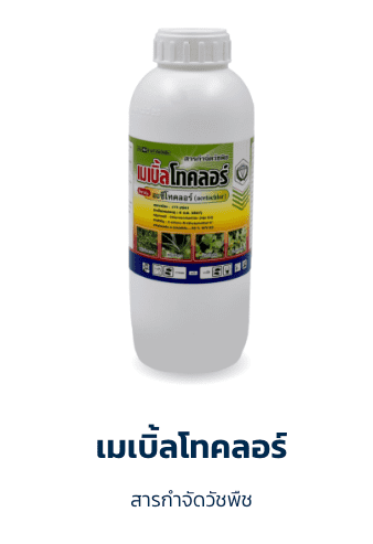 เมเบิ้ลโทคลอร์