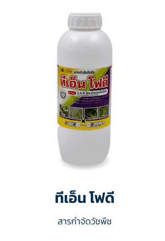 ทีเอ็น โฟดี